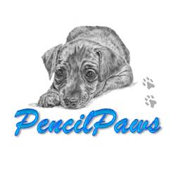Pencil Paws - Website